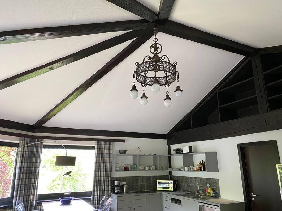 Ferienwohnung Thalia Berg am Starnberger See Dış mekan fotoğraf