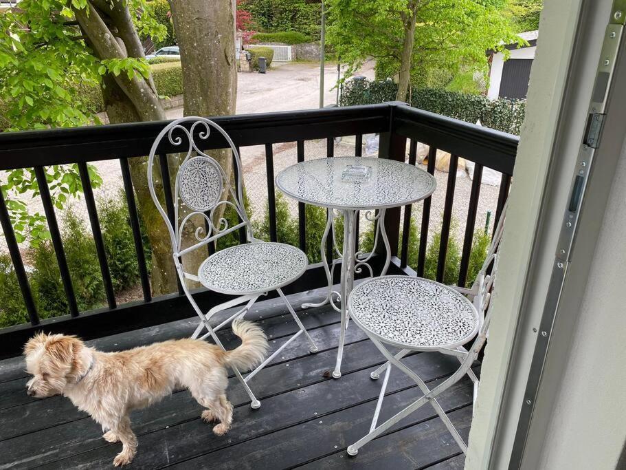 Ferienwohnung Thalia Berg am Starnberger See Dış mekan fotoğraf